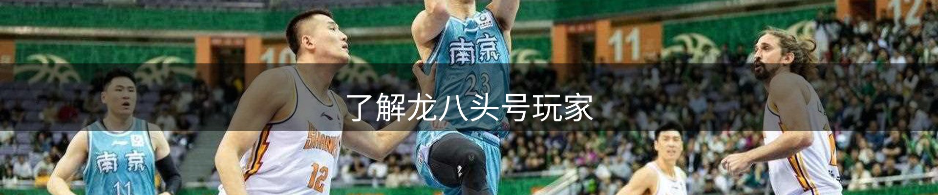 了解龙八头号玩家